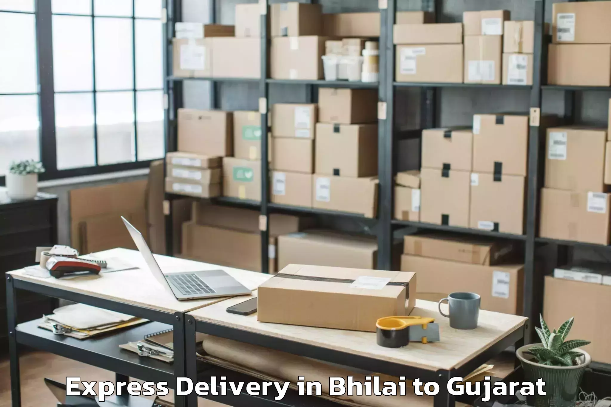 Discover Bhilai to Dediapada Express Delivery